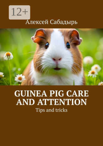 Guinea pig care and attention. Tips and tricks. 