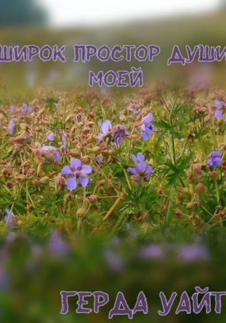 Широк простор души моей. 