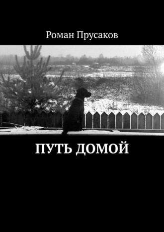 Роман Прусаков. Путь домой