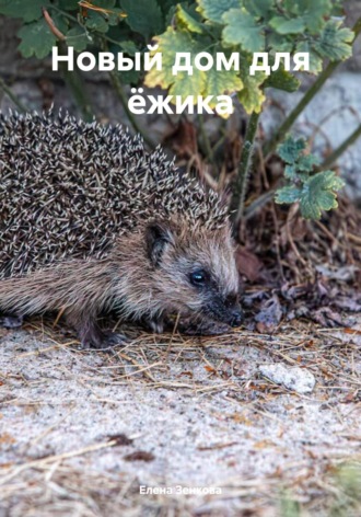 Новый дом для ёжика. Елена Зенкова