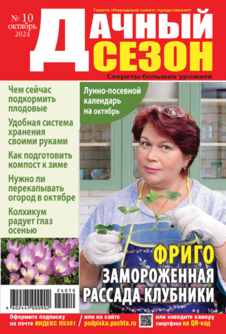 . Дачный сезон №10/2024