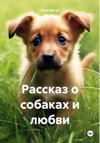 Анна Метул. Рассказ о собаках и любви