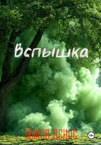 Денис Быков. Вспышка