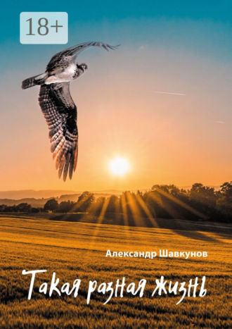 Александр Макарович Шавкунов. Такая разная жизнь