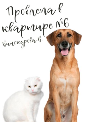Проблема в квартире 6. 