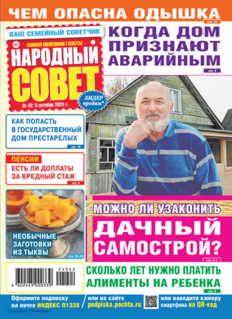 . Народный совет №42/2024