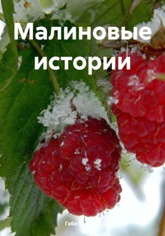 Габи Бользен. Малиновые истории
