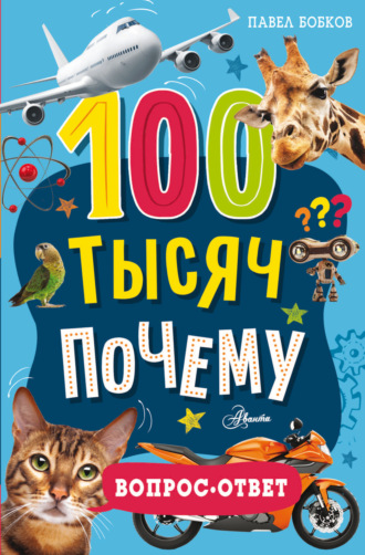 Павел Бобков. 100 тысяч почему. Вопрос-ответ
