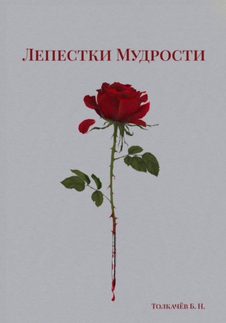 Богдан Николаевич Толкачев. Лепестки Мудрости
