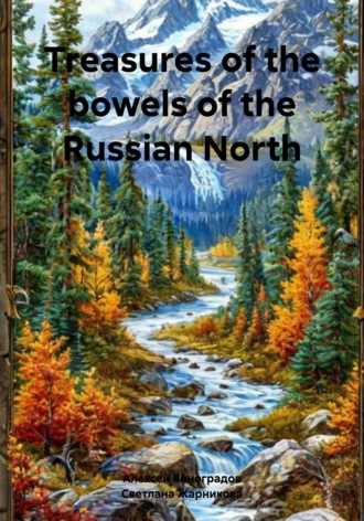Treasures of the bowels of the Russian North. Алексей Германович Виноградов