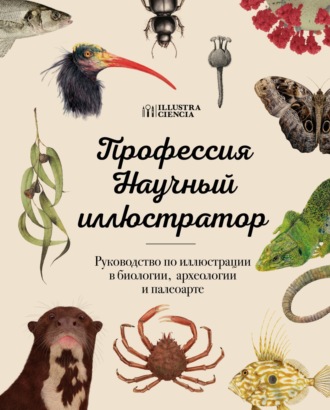 . Профессия – Научный иллюстратор. Руководство по иллюстрации в биологии, археологии и палеоарте