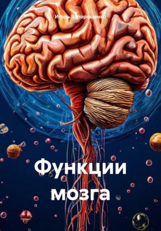 Игорь Михайлович Запорощенко. Функции мозга