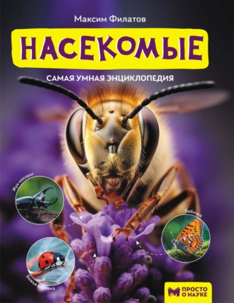 М. А. Филатов. Насекомые