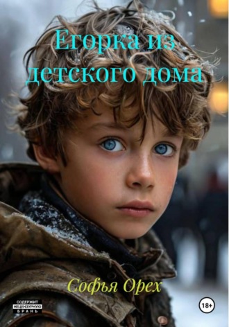 Софья Орех. Егорка из детского дома