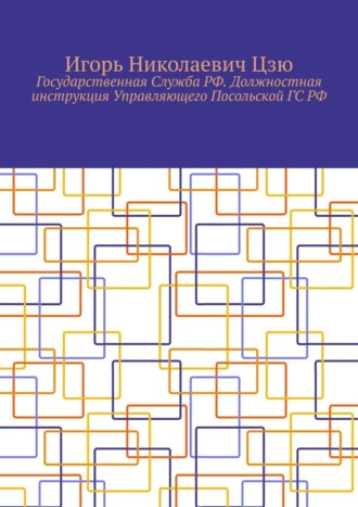 Игорь Николаевич Цзю. Государственная Служба РФ. Должностная инструкция Управляющего Посольской ГС РФ