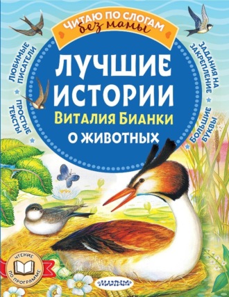 Лучшие истории Виталия Бианки о животных. 