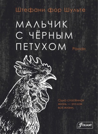 Штефани фор Шульте. Мальчик с чёрным петухом