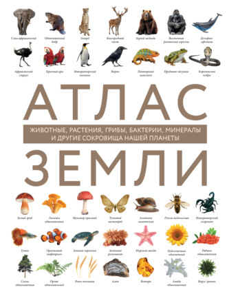 Регина Михайлова. Атлас Земли. Животные, растения, грибы, бактерии, минералы и другие сокровища нашей планеты