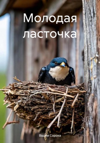 Вадим Сорока. Молодая ласточка