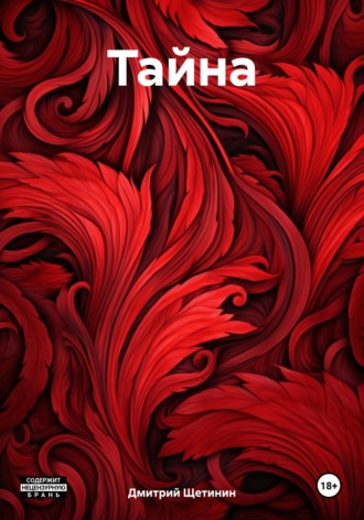 Дмитрий Сергеевич Щетинин. Тайна