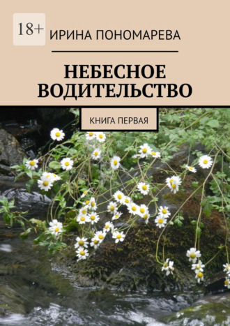 Ирина Пономарева. Небесное водительство. Книга первая