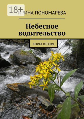 Ирина Пономарева. Небесное водительство. Книга вторая