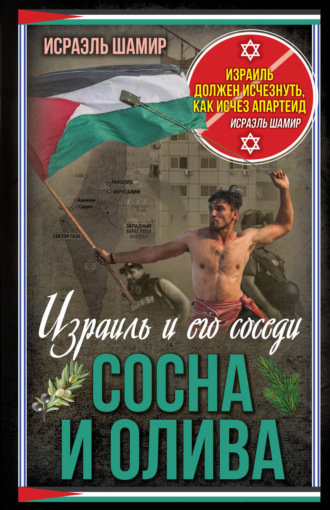 Сосна и олива. Израиль и его соседи. 