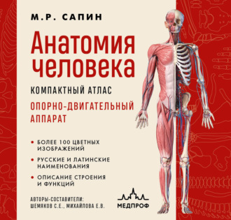 Анатомия человека. Компактный атлас. Опорно-двигательный аппарат. 
