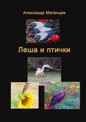 Александр Матанцев. Леша и птички