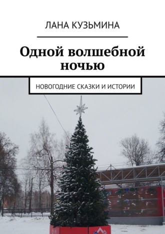 Одной волшебной ночью. Новогодние сказки и истории. 