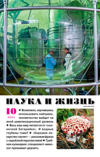 Наука и жизнь №10/2024. 