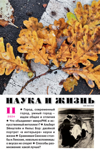 Наука и жизнь №11/2024. 