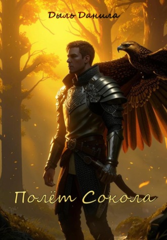 Данила Дыль. Полёт Сокола