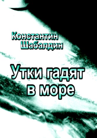 Константин Шабалдин. Утки гадят в море