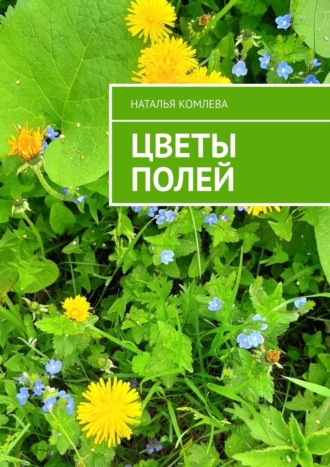 Наталья Комлева. Цветы полей