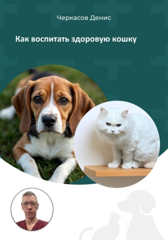 Денис Черкасов. Как воспитать здоровую кошку