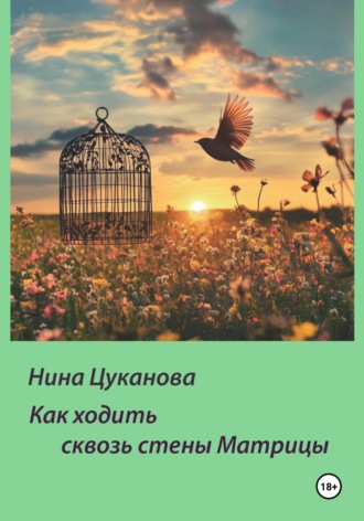 Как ходить сквозь стены Матрицы. Нина Цуканова