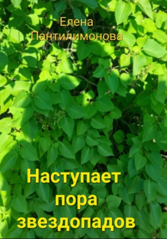 Елена Пантилимонова. Наступает пора звездопадов