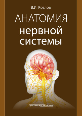 В. И. Козлов. Анатомия нервной системы. Учебное пособие