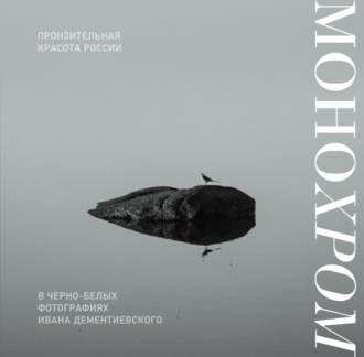 Иван Дементиевский. Монохром. Пронзительная красота России в черно-белых фотографиях Ивана Дементиевского