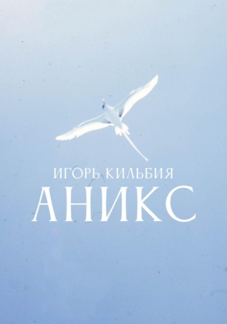 Игорь Кильбия. Аникс