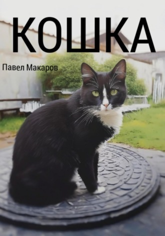 Кошка. Павел Макаров