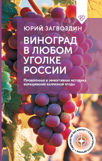 Юрий Загвоздин. Виноград в любом уголке России. Проверенная и эффективная методика выращивания капризной ягоды