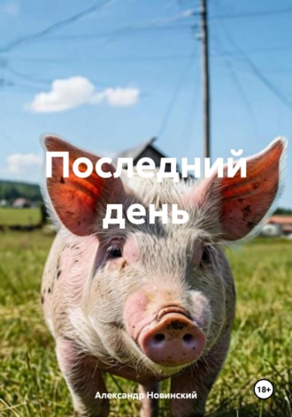 Александр Новинский. Последний день