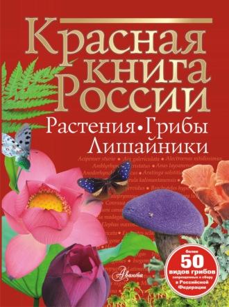 Ирина Пескова. Красная книга России. Растения, грибы, лишайники