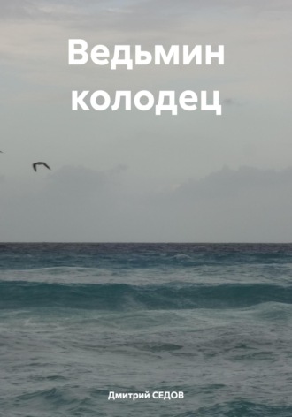 Дмитрий Викторович Седов. Ведьмин колодец