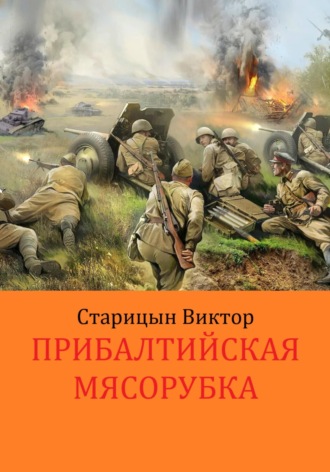 Виктор Старицын. Прибалтийская «мясорубка»