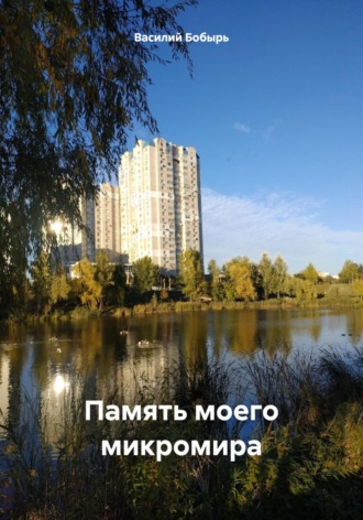 Василий Бобырь. Память моего микромира
