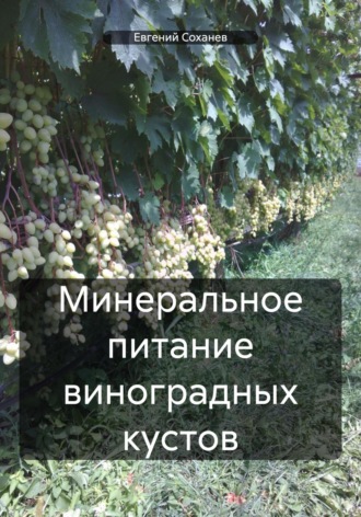 Евгений Анатольевич Соханев. Минеральное питание виноградных кустов
