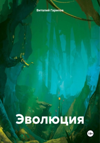 Виталий Гарипов. Эволюция